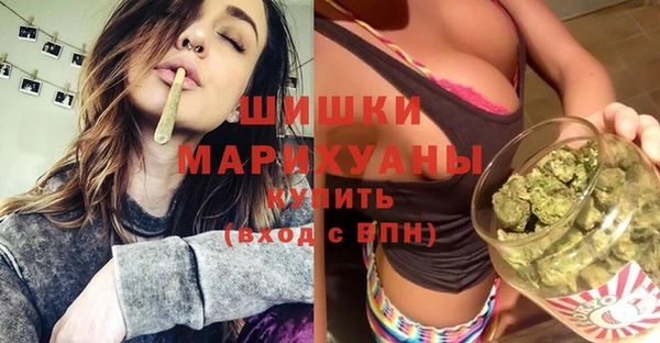 мяу мяу мука Бородино