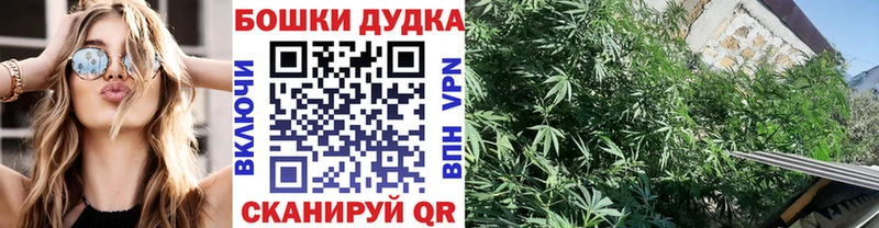 Канабис индика  купить  цена  darknet официальный сайт  Красавино  блэк спрут tor 